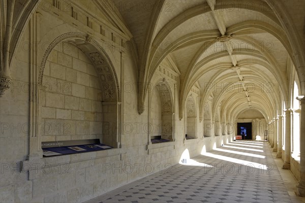 Abbaye Fontevraud