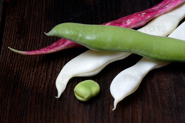 Various garden beans