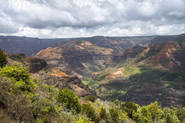 Waimea Canyon State Park