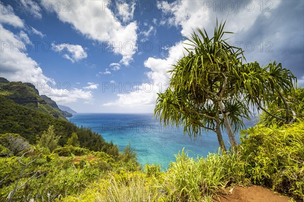 Blick vom Kalalau Trail auf die Na Pali Coast