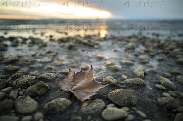 Sunrise on a wintry lake in bad weather