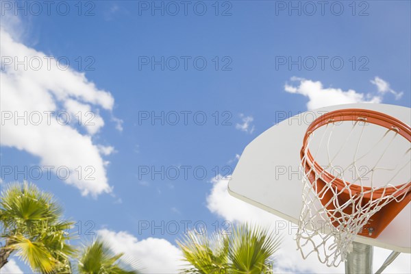 Abstract of community basketball hoop and net and palm trees against blue sky