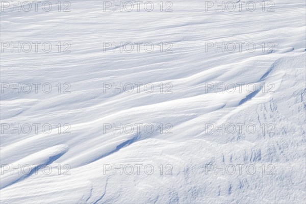 Snowdrift