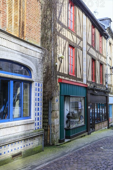 Half-timbered houses