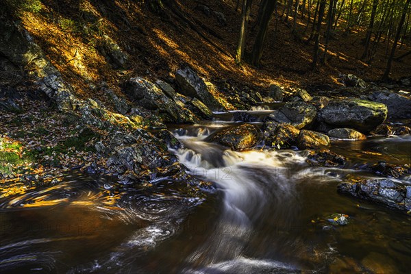 Herbststimmung an Stromschnellen der Hoegne