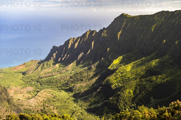 Blick vom Kalalau Lookout ins Kalalau Valley