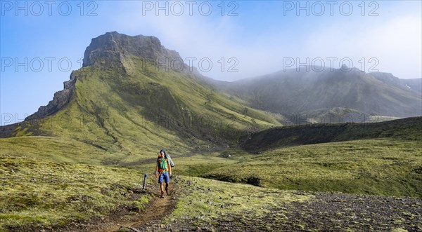 Hikers on trail through moss-covered mountain landscape