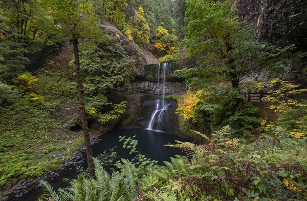 Waterfall