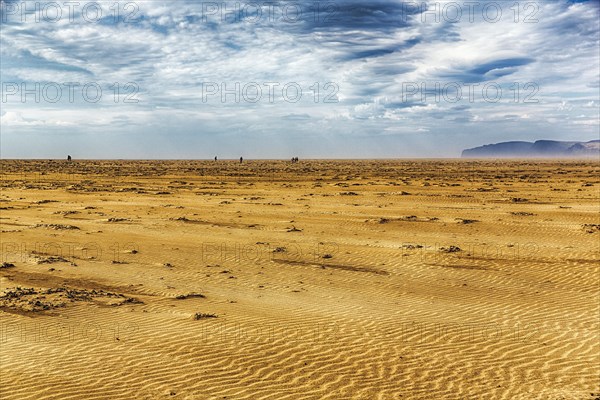 Remote sandy beach