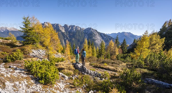 Two hikers in the landscape