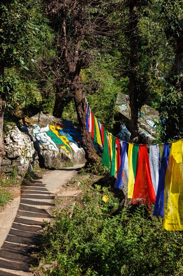 Buddhist prayer flags lungta with Om Mani Padme Hum Buddhist mantra prayer meaning Praise to the Jewel in the Lotus on kora around Tsuglagkhang complex. McLeod Ganj