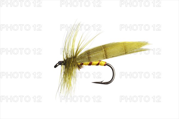 Fishing Fly