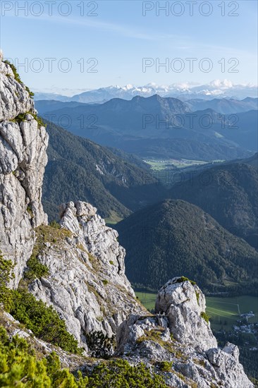 Valleys and forested mountains