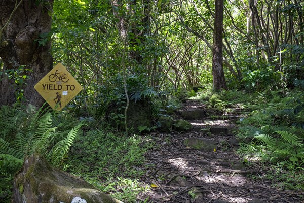 Maunawili Trail