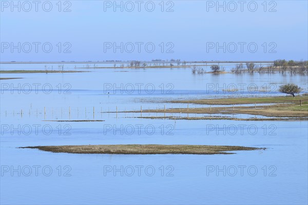 Alluvial land on the Rio Parana