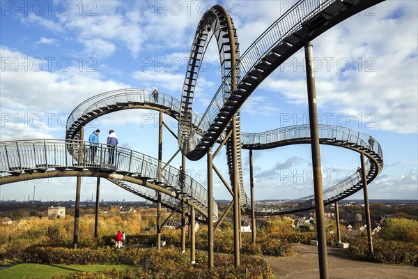 Tiger and Turtle