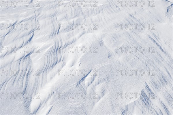 Snowdrift