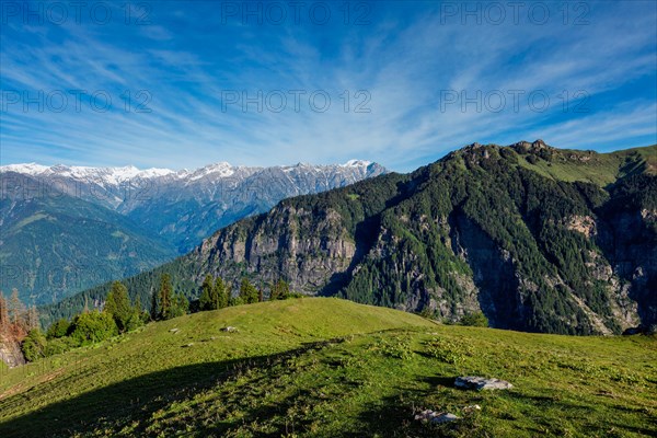 Spring meadow in Kullu valley in Himalaya mountains