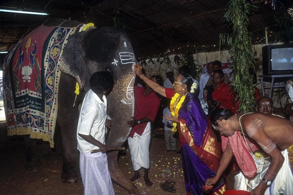 Gaja dhanam