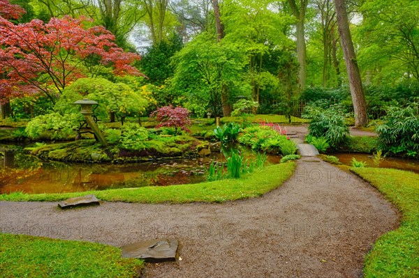 Little Japanese garden after rain