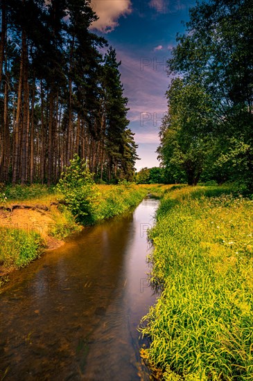 Long exposure of the river Wietze in Langenhagen in the region of Hannover