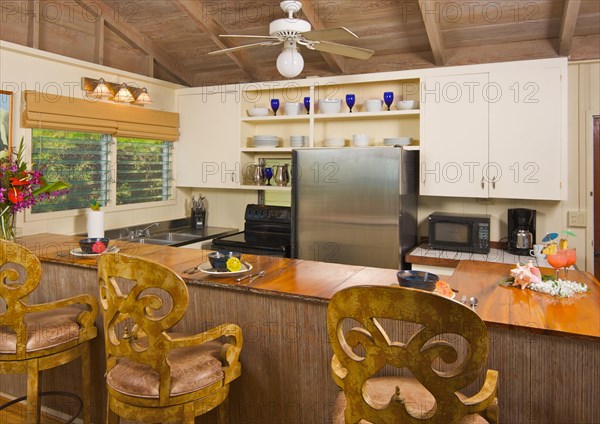 Tropical kitchen interior