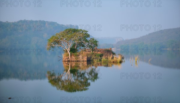 Serene morning on lake Padma Talao