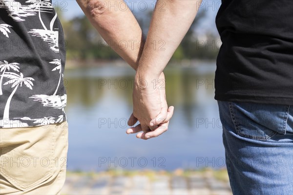 Homosexual white male couple holding hands at a lake