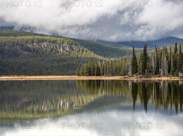 Landscape with forest reflected in the lake