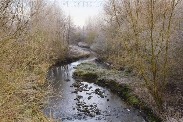 Landscape at the Koernebach with hoarfrost