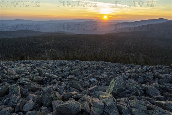 Ausblick vom Lusen