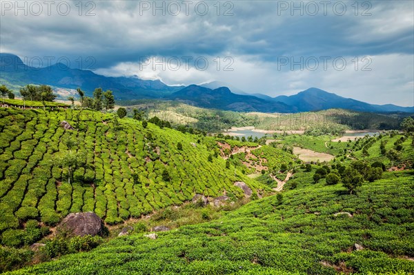 Tea plantations on hills surrounding beautiful small Indian town Munnar in South India with mountains Western Ghats. India
