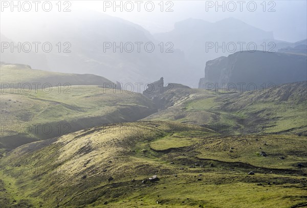 Mountain landscape overgrown with moss