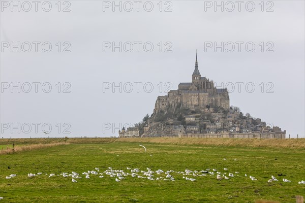 Island Mont Saint-Michel in the bay of Mont-Saint-Michel in the Wadden Sea