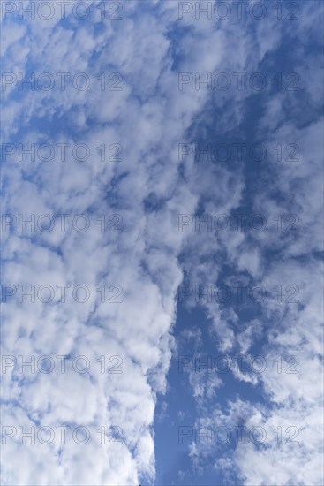 Stratocumulus clouds