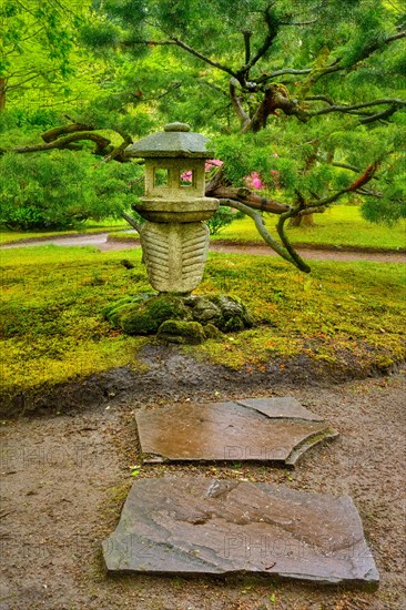 Stone lantern in Japanese garden