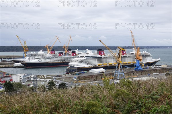 Disney Cruise Line's Disney Dream