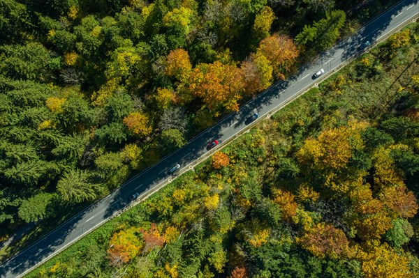 View from above of a diagonally running road with moving cars in an autumnal landscape
