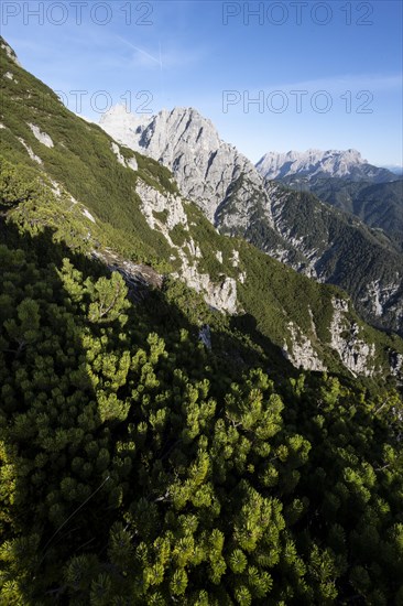 View of mountain landscape with peak Westliches Geiselhorn