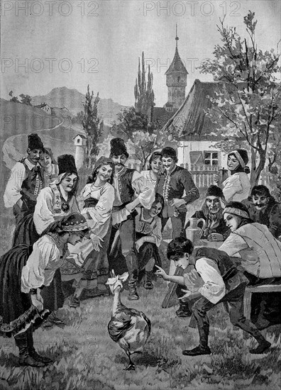 The Goose Oracle of the German People in Transylvania in 1870