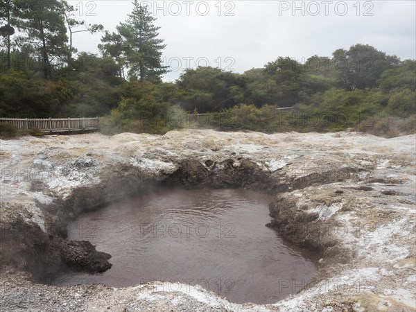 Thermal Springs