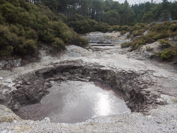 Devils Ink Pots