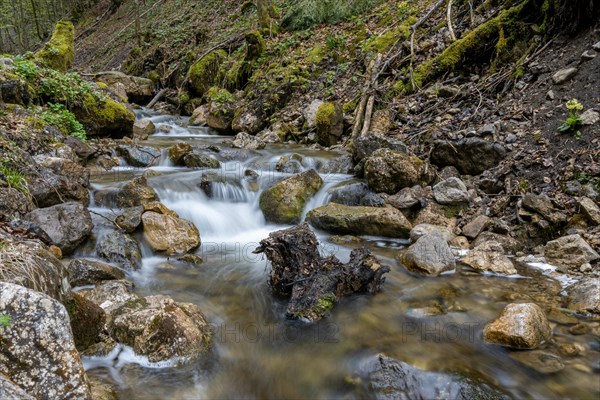 Riverbed on the Frillensee stream along the Bergwald adventure trail