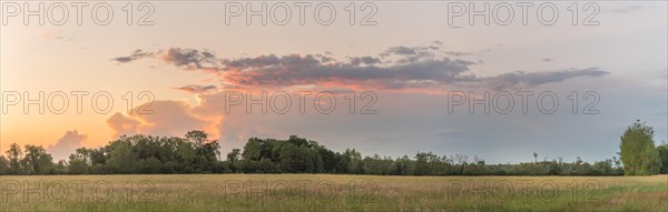 Large pink cloud at sunset over meadow in spring. panorama