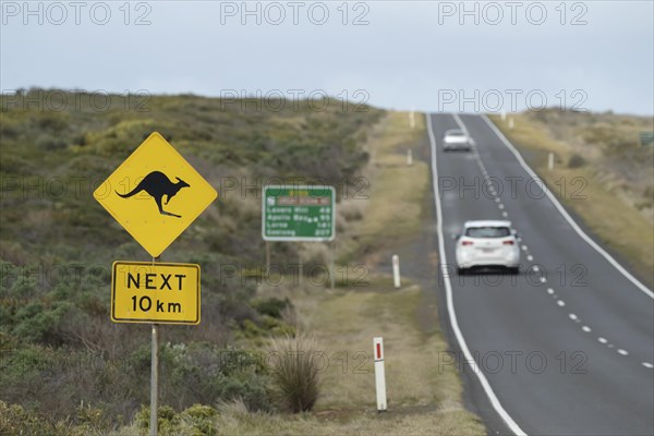 Road sign warning of Kangaroo's on the Great Ocean road