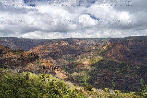 Waimea Canyon State Park