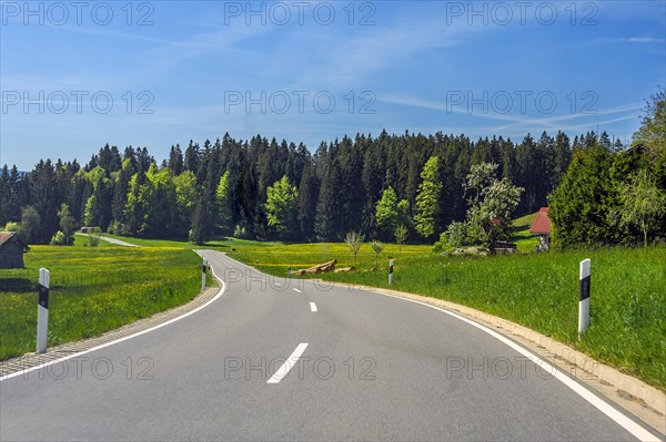 Country road between spring meadows near Stiefenhofen