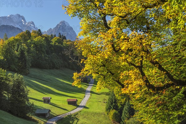 Landscape near Wamberg against Zugspitze