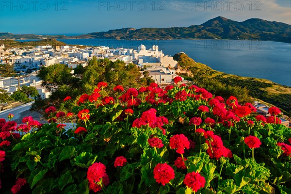 Red geranium flowers with Greek village Plaka in background on Milos island in Greece