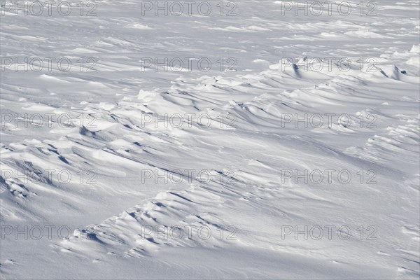 Snowdrift